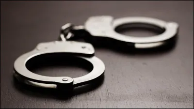 Quels sont les 2 chats qui se font arrêter ?