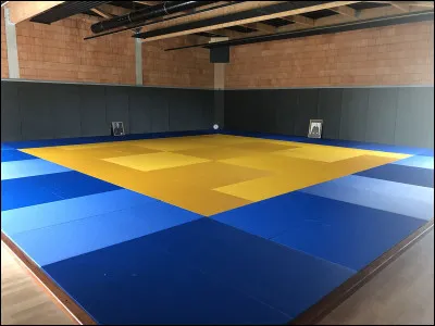 Comment s'appelle le tapis où vous combattez au judo ?