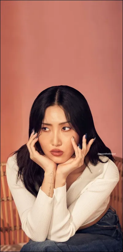 Combien y a-t-il de membres dans Mamamoo ?