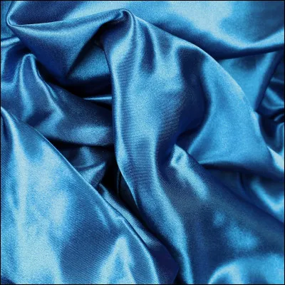 Parmi ces propositions, qu'est-ce qui est bleu ?