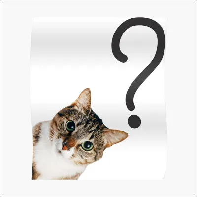 Tu voudrais tappeler :