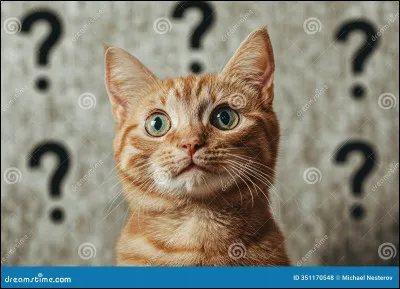 Et là, quel nom choisirais-tu ?