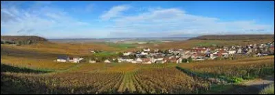 Pour commencer cette nouvelle balade, je vous propose de traverser les vignes et d'atteindre Cauroy-lès-Hermonville. Village de l'aire d'attraction Rémoise, il se situe dans le département ...