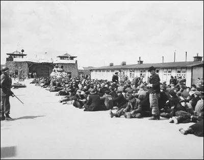 Le 5 mai, l'armée américaine libère le dernier camp de concentration : il s'agit de ...