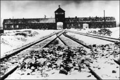 Le 27 janvier, l'armée rouge arrive au camp d'Auschwitz, découvre l'horreur et libère les 7 000 survivants : dans quel pays actuel se trouve Auschwitz ?