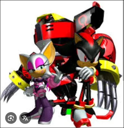 Pour qui travaille Shadow the Hedgehog ?