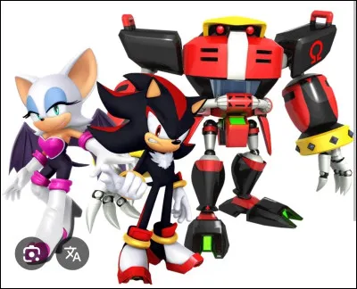 Avec qui Shadow travaille-t-il pour le GUN ?