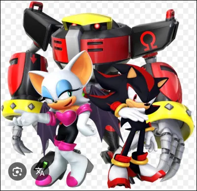 Comment s'appelle le groupe que formaient Shadow, Rouge the Bat et Omega ?