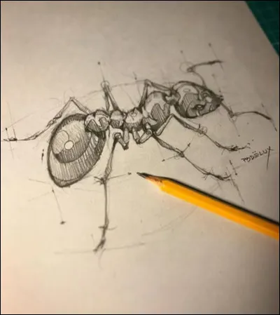 Avoir des fourmis dans les jambes c’est…