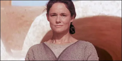 Par quel peuple a été enlevée Shmi Skywalker ?