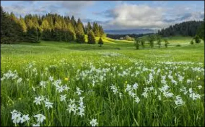 Quel type de paysage t'apaise le plus ?