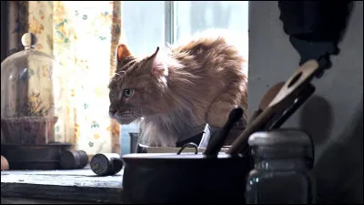 Aimes-tu les animaux ?