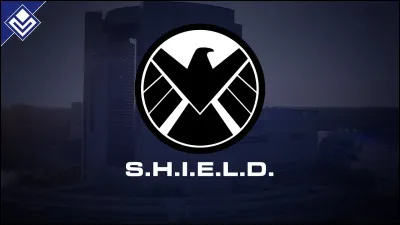 Choisis l'un de ces agents du Shield :