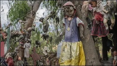 Comment se nomme le lieu où se trouvent des centaines de poupées pendues à des arbres ?