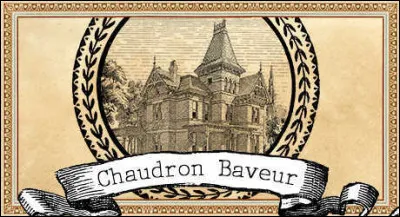 Qu'est Le Chaudron Baveur dans l'univers de "Harry Potter" ?