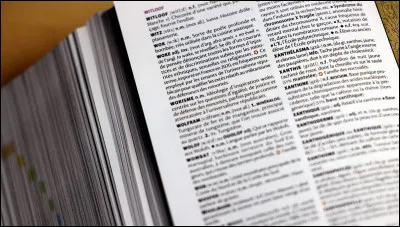 Sais-tu ce que signifie "garrulit&eacute;" ?