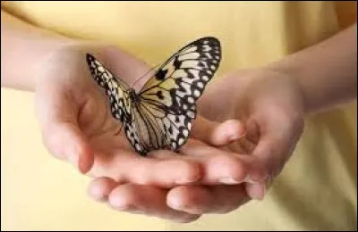 Est-ce que tu as souvent des crampes, une boule ou des papillons dans le ventre ?