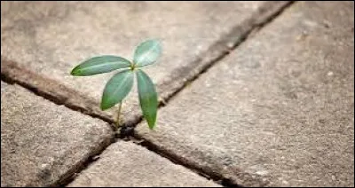 As-tu de l'espoir par rapport à cette personne ?