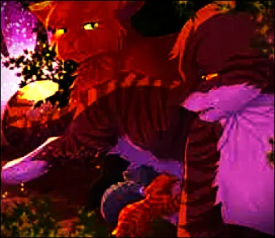 Etoile du Tigre (numéro 2) est le frère d'Aube Claire.