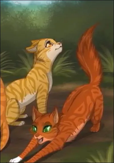 Etoile de Jais a déjà eu une compagne.