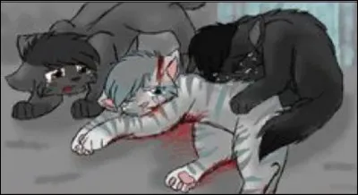 Poil d'Ecureuil est la nièce de Fléau.