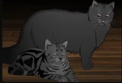 Feuille de Lune a eu trois chatons.