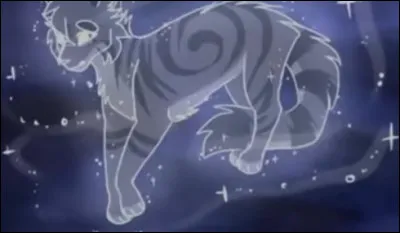 Feuille de Lune aime Etoile de Feu.