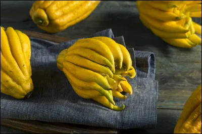 La main de Bouddha est une variété de cédrat. Quelle est son origine ?
