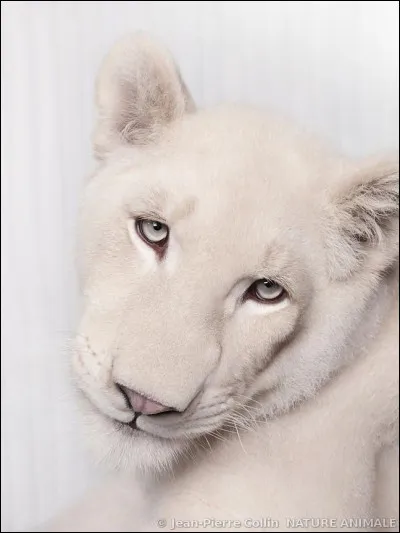 Et on termine avec un hommage pour cette chanteuse, la photo devrait vous permettre de la reconnaître !