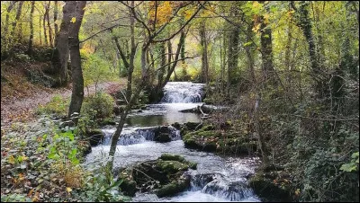 Ne tombez surtout pas le nez dedans, après il sera trop tard pour déclarer que c'est la faute à un untel !