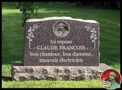 Termite : Petit insecte qui adore le bois !