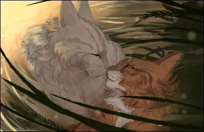 Je fais partie de la famille d'&Eacute;toile de Feu. J'ai &eacute;t&eacute; adopt&eacute;. J'ai une compagne et de multiples chatons. Tous disent que j'en ai trop.