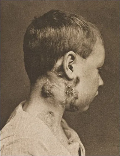 Lequelle de ces mots est le nom vulgaire de la crevette des ruisseaux ?