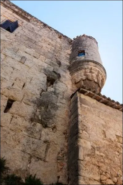 La malaguette était une épice. Laquelle ?