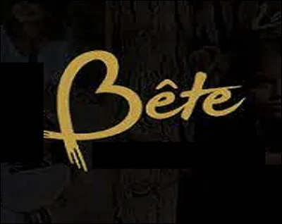 Quel qualificatif emploie-t-on pour désigner une personne vraiment très bête ?