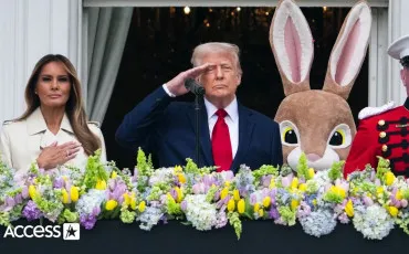 Quiz Donald trump