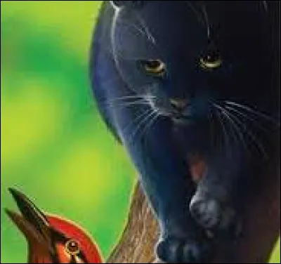 D'accord. Si tu jalouses quelqu'un, pour quelle raison est-ce ?