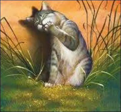 Y a-t-il une autre raison ?