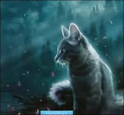 Aimerais-tu devenir mentor ?