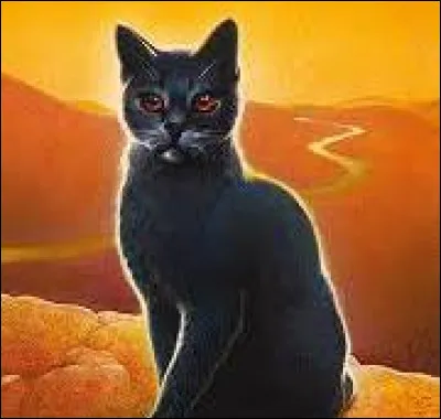 Quelle serait ta réaction si tu avais un apprenti comme Museau Cendré ?