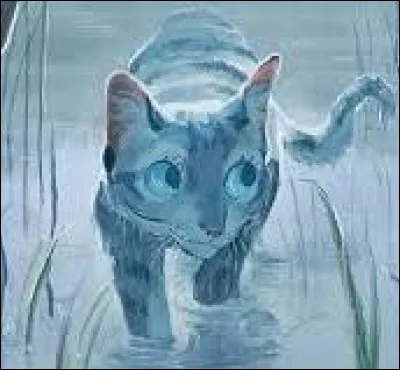 Aimerais-tu commencer ton apprentissage avant tes six lunes ?