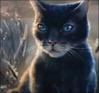 D'accord, et es-tu sociable ?