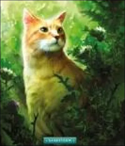 Okay, okay, et parmi ces choix de personnalité, lesquels pourraient le mieux te représenter ?