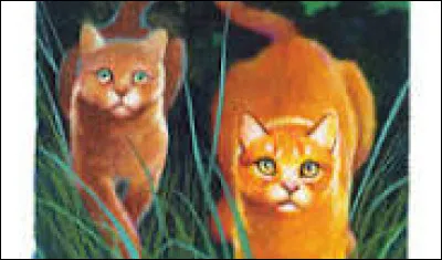 Okay, et aimes-tu travailler en groupe ?