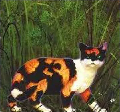 Quel serait ton rêve, en étant un chat de "La Guerre des clans" ?