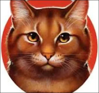 Tu es une guérisseuse du Clan de la Rivière, ton mentor est toujours en vie et t'agace beaucoup. On te propose d'aller au Clan du Vent, qui manque de guérisseur car celui-ci est mort. Y vas-tu ?