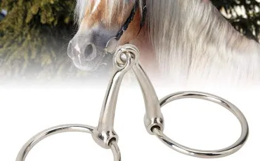 Quiz Equitation