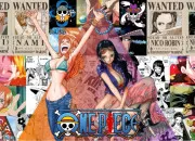 Test Es-tu Nami ou Robin ? dition ''One Piece''