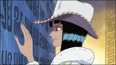 Dans ''One Piece'', tu préfères te battre avec...