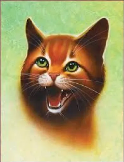 Qui est le mentor de Nuage de Feu ?